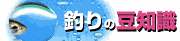 釣りの豆知識