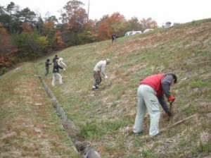 日当たりの良い斜面に植樹