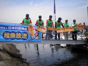 桟橋から稚魚を放流