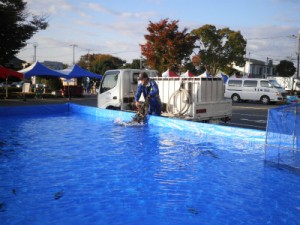 神鍋高原からニジマスとアマゴが配送されました